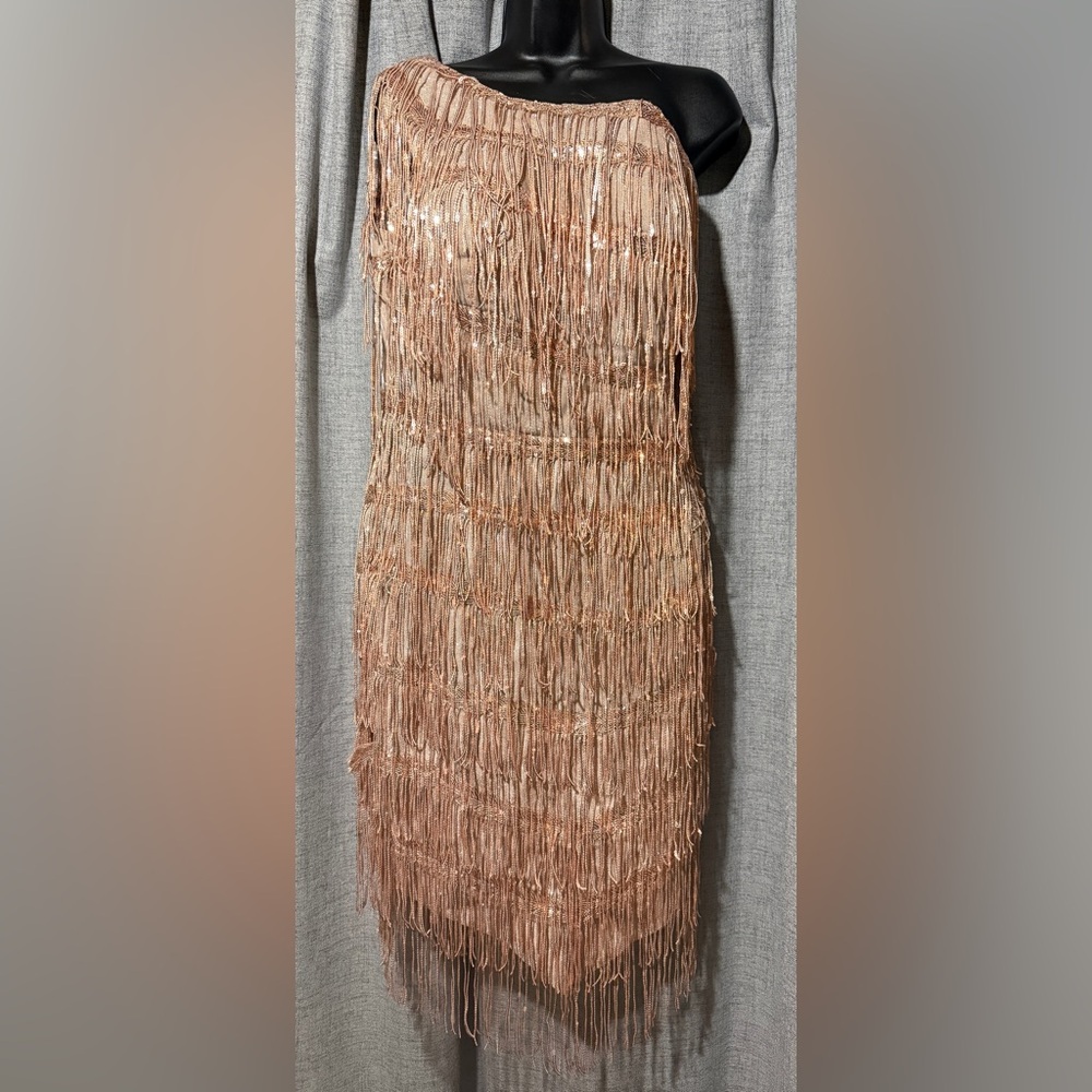 Elegant Fringe Dress